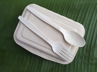 bioplastic spoon fork and disposable lunch box on banana leaf