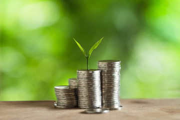 Coin Money Piles Of Coins Trees on the pile of money Economy, Investment And Saving Concept