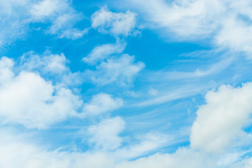 The blue sky with the backdrop of contrasting clouds is an inviting image.