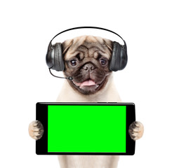 Poster - Puppy with headset holding smartphone in their paws. Isolated on white background
