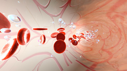 Oxygen molecules and Erythrocytes floating in the blood stream	