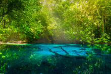 Amazing Nature, Blue Pond In The Forest. Krabi, Thailand.