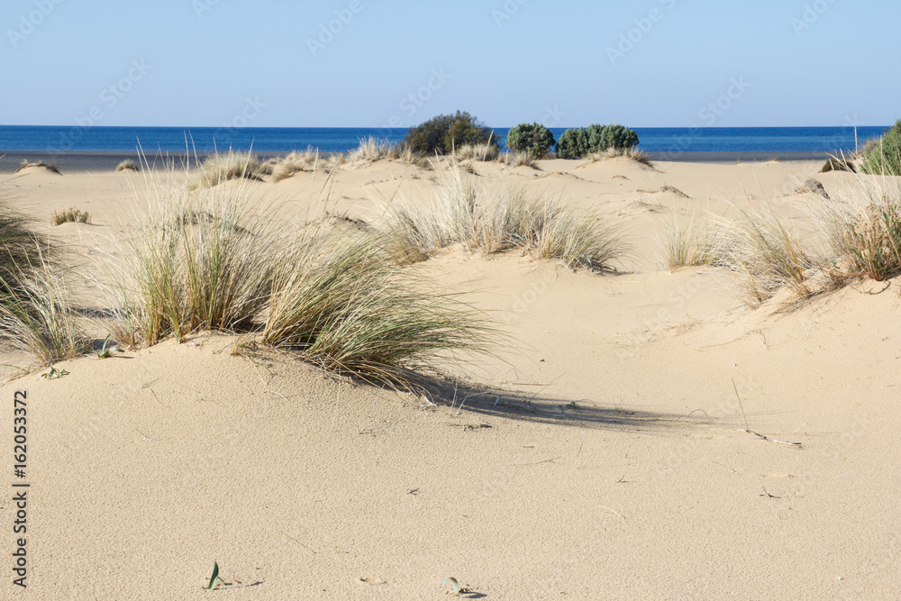 Fotografie Obraz Desertospiaggia Di Piscinas Dune