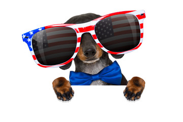 Wall Mural - independence day 4th of july dog