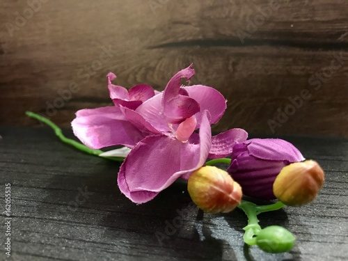 kolorowa-orchidea-na-tle-drewna