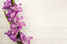 Purple Gladiolus On White Table