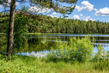 Fototapeta Do pokoju - calm forest lake and trees