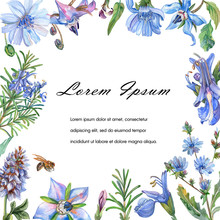 Greeting Or Invitation Card With Blue Flowers. Watercolor Illustration.