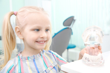 Wall Mural - Cute little girl with plastic jaw mockup at dentist's office