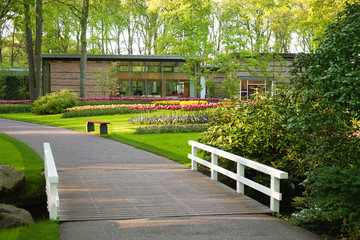 Wall Mural - Beautiful landscape in park