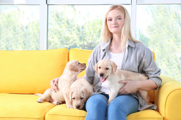 Wall Mural - Young woman with cute labrador retriever puppies sitting on sofa at home