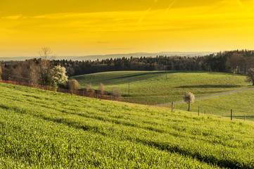 Canvas Print - Swiss landscape early in the morning