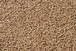 Wood pellets - close-up, background, cheap energy.
