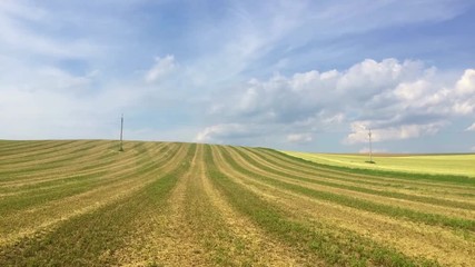 Wall Mural - Harvested empty field on the hills at sunset.Panorama picture.Time lapse