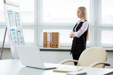 Wall Mural - Business woman