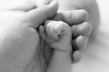 closeup black and white shot of father holding newborn baby hand. image with soft focus