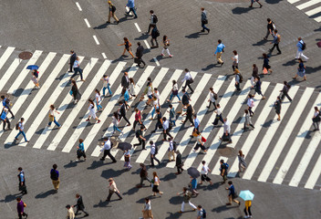 Wall Mural - Shibuya Crossing from top view