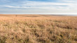 © JLDMphoto - Flint Hills