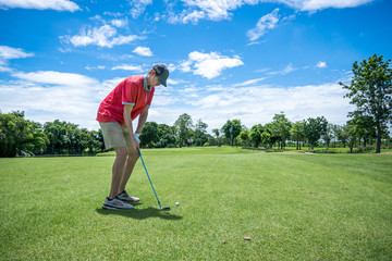 Wall Mural - golfer playing golf with golf club on fairway