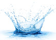 canvas print picture - Splash - Fresh Drop In Water - Close Up
