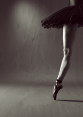 Canvas Print - Ballet legs