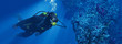 Silhouette of young man scuba diver