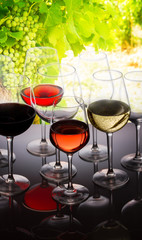 Wall Mural - Wine tasting in wine yard, set of glasses with red, white and rose wine close up, bright green grapevine in background