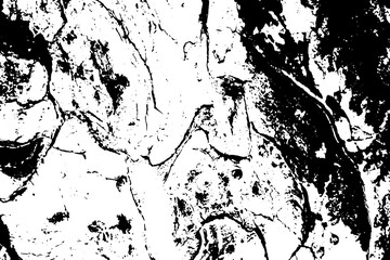 Wall Mural - Grungy tree bark vector texture. Black and white bark ornament.