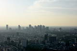 Fototapeta Zwierzęta - 日本の東京都市風景（新宿の高層ビル群などを望む）