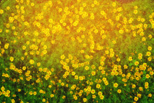 Small Yellow Flower  Spring Nature Background