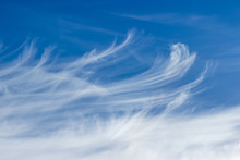 Fragment Of The Sky With Cirrus Clouds