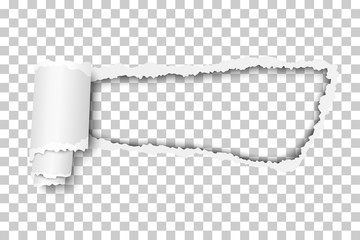 Wall Mural - Torn, snatched hole in sheet of checkered transparent paper background. Template design.