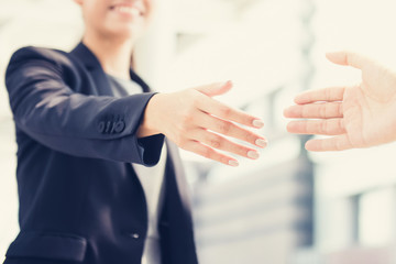 Wall Mural - Businesswoman going to make handshake with a businessman