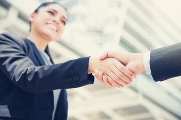 Wall Mural - Businesswoman making handshake with a businessman