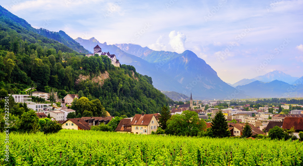 Obraz na płótnie Vaduz town, the capital of Liechtenstein, Europe w salonie