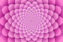 Abstract Background. Pink Spiral Flower Pattern. Abstract Lotus Flower. Esoteric Mandala Symbol.