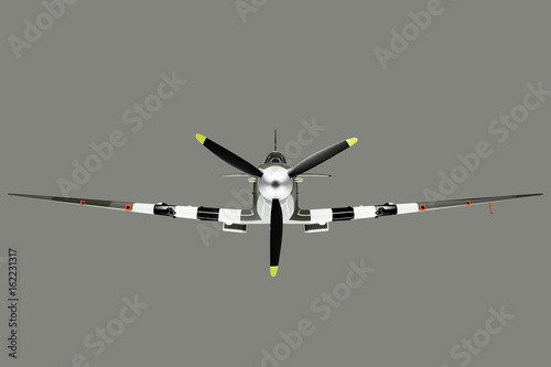 Fotografija  Spitfire head on on Grey