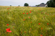 © twanwiermans - akker in de Duitse Eifel