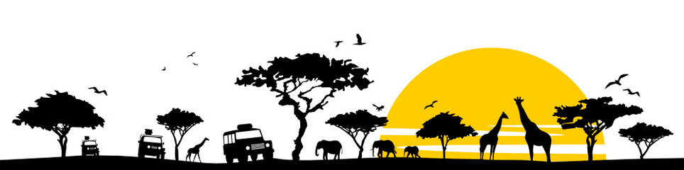 silhouette savanne