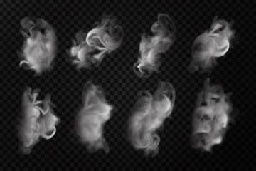 Wall Mural - Vector set of realistic isolated smoke on the transparent background.