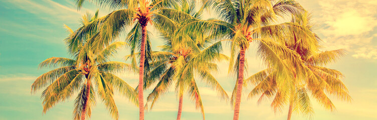 Group of palm trees, blue sky background