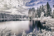 Idyllic landscape with lake and forest in winter.