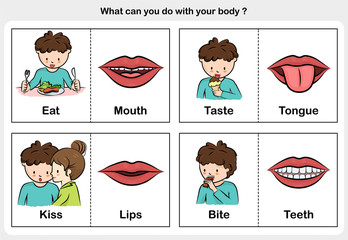 Wall Mural - five senses - touch, taste, hearing, sight, smell. - worksheet for education
