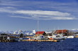 Yachts and fishing boats-Maurnes Bathavna marina. Sortland Kommune-Hinnoya-Nordland fylke-Norway. 0024