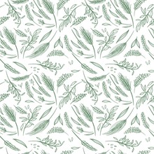 Vector Agriculture Seamless Pattern