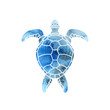 Cheloniidae. Turtle. Wildlife. Silhouette. Symbol, icon, logo. Vector illustration.