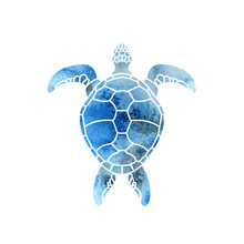 Cheloniidae. Turtle. Wildlife. Silhouette. Symbol, Icon, Logo. Vector Illustration.