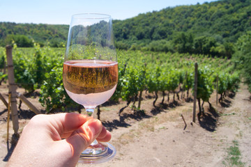 a glass of rose wine on a vineyard