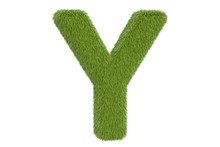 Green Letter Y From Grass Closeup, 3D Rendering