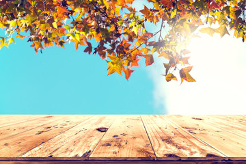 Wall Mural - top of wood table with beautiful autumn maple tree on sky background - empty ready for your product 